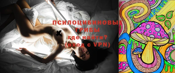 стаф Нефтекумск